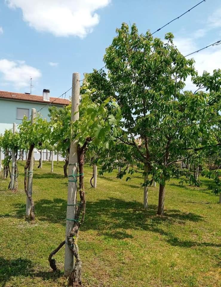 La Cjase Di Pieri E Vilme Udine Exterior foto