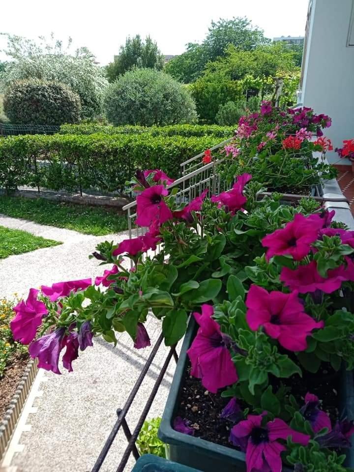 La Cjase Di Pieri E Vilme Udine Exterior foto